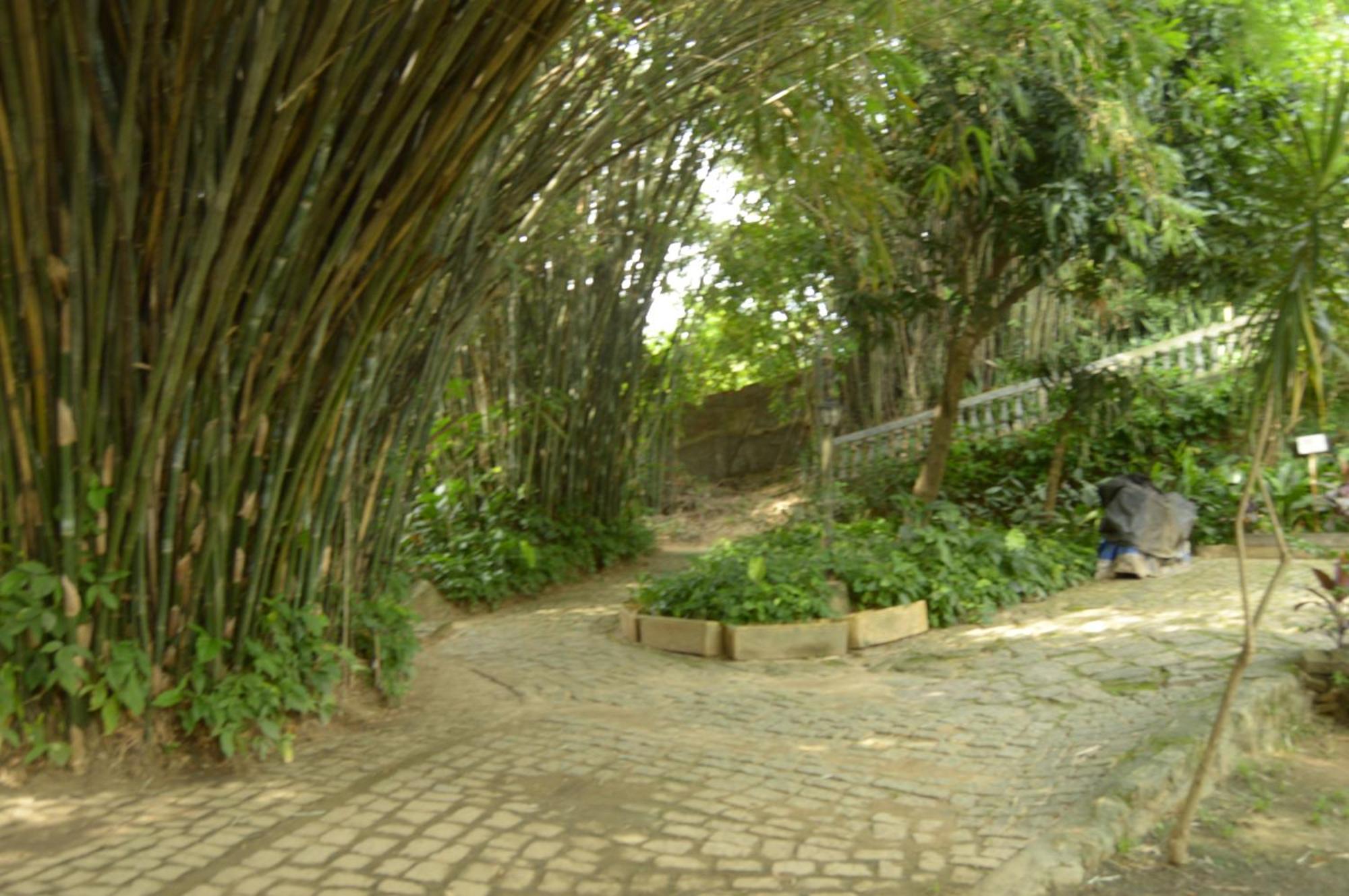 Rio Natureza Adaptado Apart 101 リオデジャネイロ エクステリア 写真